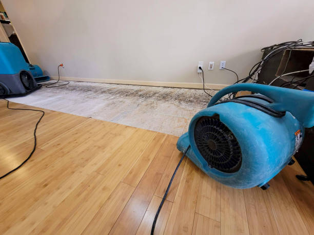 Professional Flood Damage Cleanup technician working in Cannelton, WV